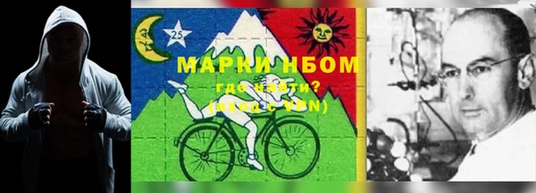 ГАЛЛЮЦИНОГЕННЫЕ ГРИБЫ Елизово