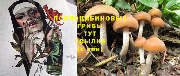эйфоретик Дмитров