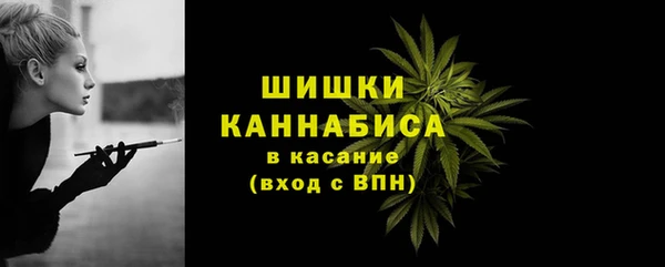 СК Дмитровск