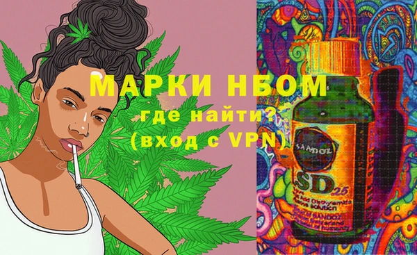 эйфоретик Дмитров