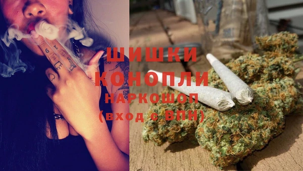 Альфа ПВП Елабуга