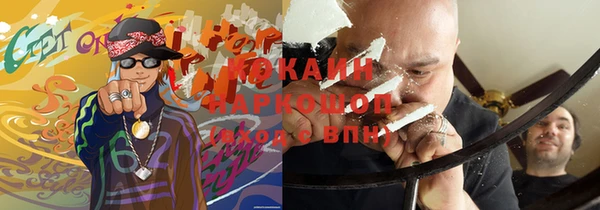 СК Дмитровск