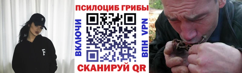 где купить наркоту  Жуковский  Псилоцибиновые грибы прущие грибы 